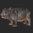 rhinocéros-3.jpg Rhinoceros 🦏