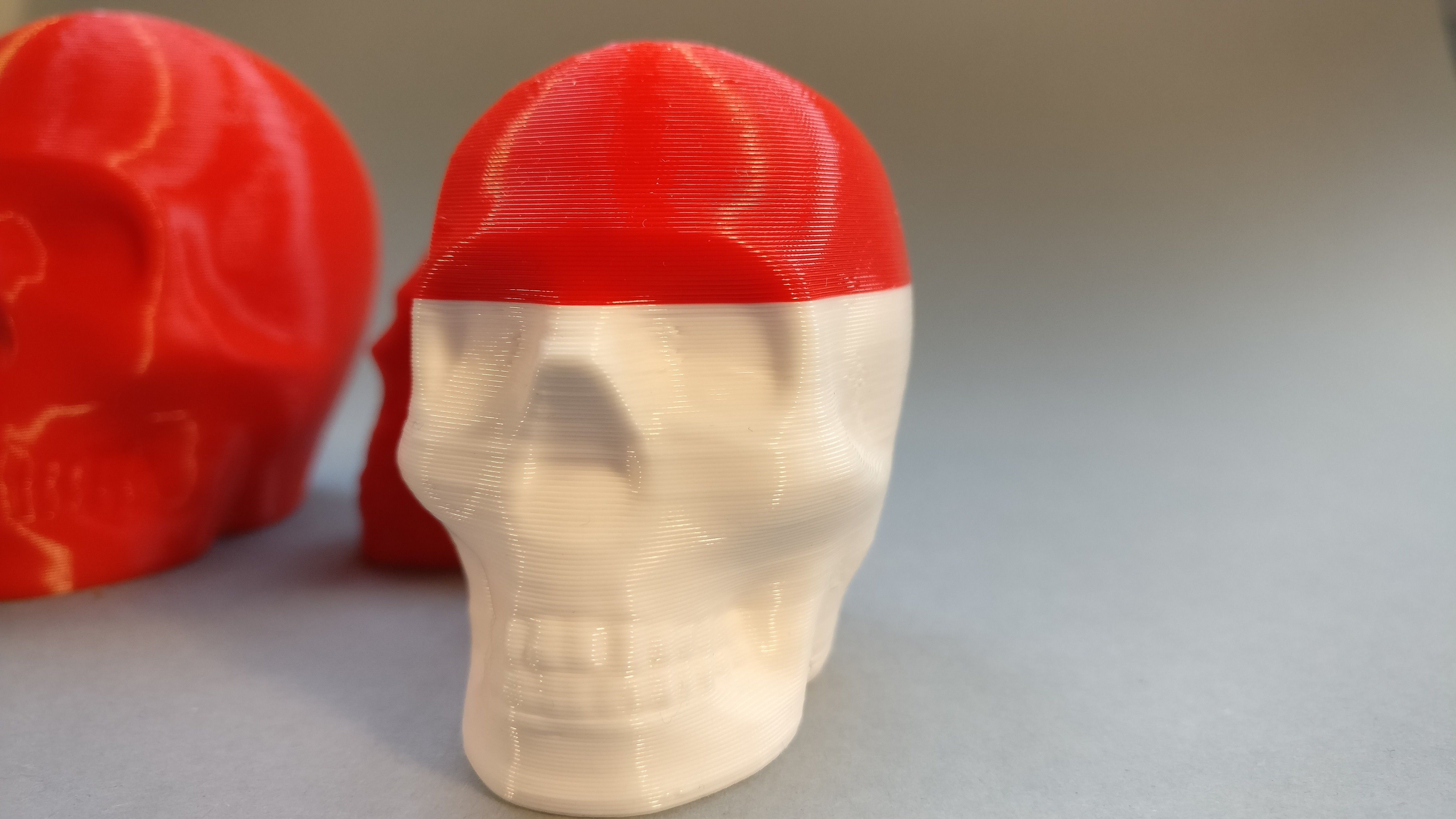 2017-01-10 15.55.46.jpg Archivo STL gratis Riley la impresión del cráneo・Diseño por impresión en 3D para descargar, macouno