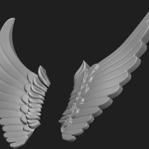 🚩 wings 2・ STL File for 3D printing・Cults