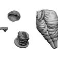 Parts.jpg 3D PRINTABLE COLLECTION BUSTS 9 CHARACTERS 12 MODELS