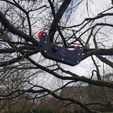 IMG_20210122_133943.jpg Cablecam Insta360 One X 2