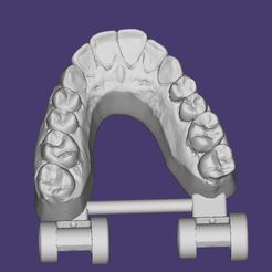 bandicam 2020-10-07 15-43-46-732.jpg Fichier STL MODÈLE DENTAIRE ARTICULÉ SUPÉRIEUR, MODÈLE DENTAIRE ARTICULÉ SUPÉRIEUR・Modèle à télécharger et à imprimer en 3D