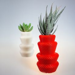 _MG_4920.jpg 3D file Nino F. | pot for succulents・3D print object to download