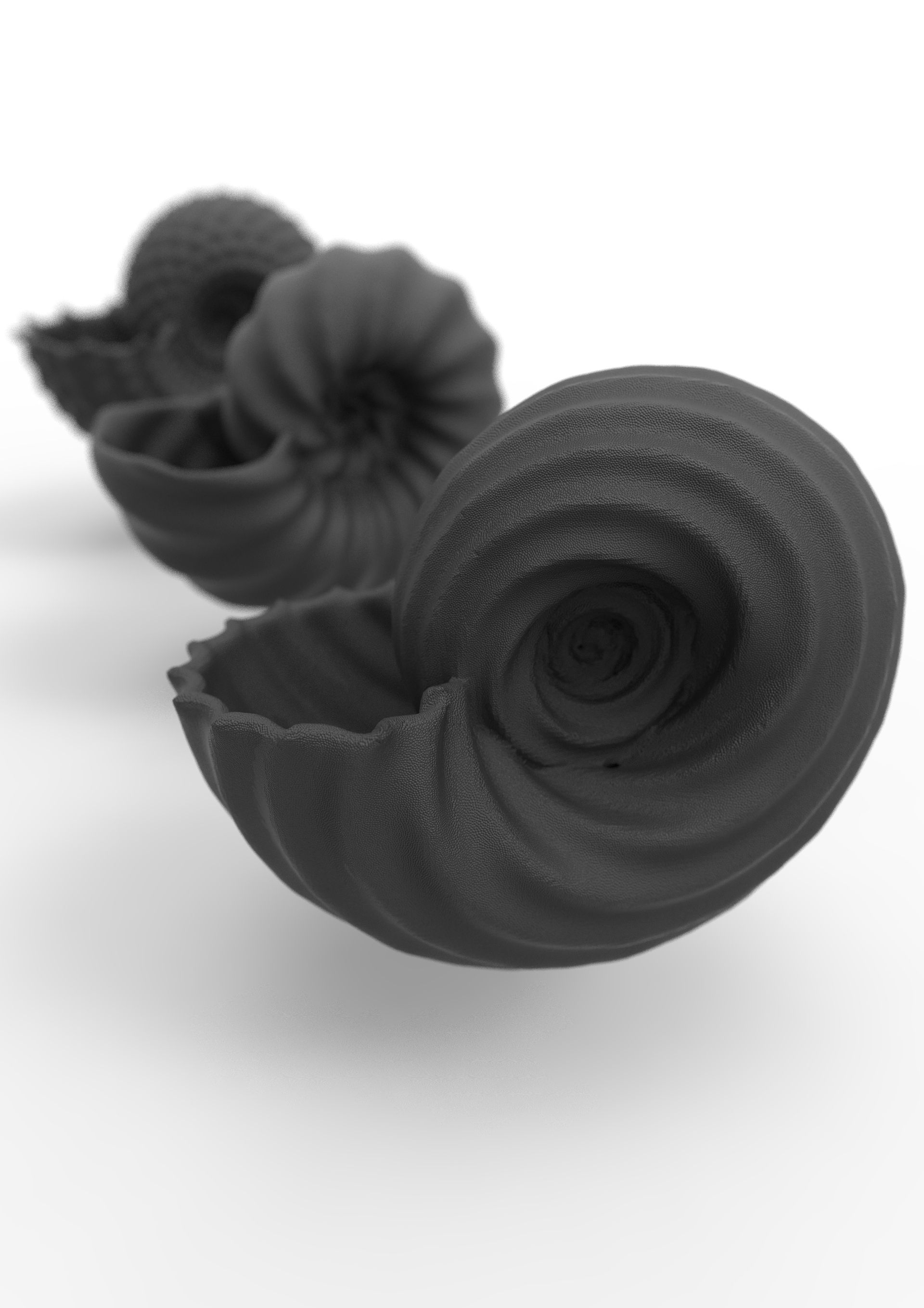 untitled.233.jpg STL file Nautilus Shell Parametric・3D printing model to download, DI_joseantoniosv