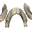2.png Dental Practice Model Kit 3D
