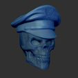 Shop1.jpg Skull with airforce cap