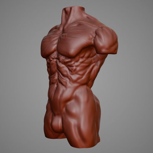 Athletic Men's Torso