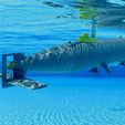 IMG_6712.jpeg Submarine Dolphin 2