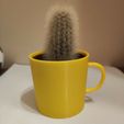 MugVase2.jpg Mug IKEA Mini Cactus Pot