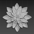 00.png Flor, Cato, Suculenta, Folhas de suculenta, Flor de Natal, Folhas de suculenta, Flor de estrela