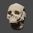 MortifactorsHelm.png Mortifactors style Scout Head