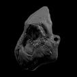 4.png Trex mask Collectible