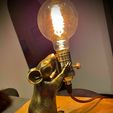 151649953_459706435168927_8387089058034395454_n.jpg Commercial License Mouse Lamp