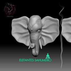 Elephants-Portada.jpg Parfum d'éléphant 🐘 Éléphants 🐘 Parfum d'éléphant 🐘 Parfum d'éléphant 🐘 Parfum d'éléphant