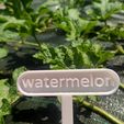 watermelon.jpg sign  for vegetables and aromatic plants