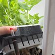 removable-planter-insert-roots-pflanzeneinsatz-wurzeln-3d-printed.jpg Horta hidropónica silenciosa - Plantação de ervas aromáticas