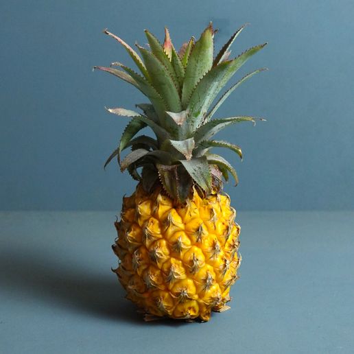 07.jpg Pineapple coasters