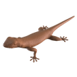 GeckoPr__1200_0001.png Lizards collection