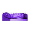 Mandibular.stl Dental Study Model