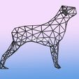 dog-thin-6.jpg Dog thin - Wire Frame Art