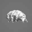 booty.jpg Tardigrade