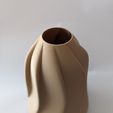 PXL_20230707_114502620.PORTRAIT-1.jpg Dried flower vase "Flower" / Vase-Mode