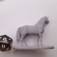 IMG_20230302_121235.jpg Horse Miniatures Set
