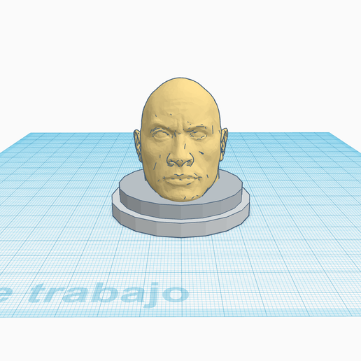 The ROCK 3D model