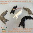 2f04875a-f87e-4d33-84bf-27de6fe82416.jpg Flexi Holding Cat (Print-in-place)