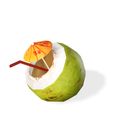 2.jpg COCONUT VEGETABLE FRUIT TREE FOREST Coconut Drink COCONUT PLANT FOOD DRINK JUICE NATURE VEGETABLE