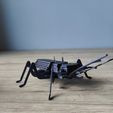 IMG20231009171554.jpg Stag Beetle Buildable Animal Figure