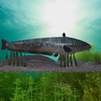 sumec-podstavec-high-quality-4.png catfish / Siluriformes / sumec velký underwater statue detailed texture for 3d printing