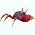 F.jpg Crab - DOWNLOAD Crab 3d Model - animated for Blender-Fbx-Unity-Maya-Unreal-C4d-3ds Max - 3D Printing Crab Crab Crab - POKÉMON - DINOSAUR