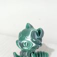 WhatsApp-Image-2023-05-25-at-7.35.37-AM-3.jpeg Archivo STL Nice flexi raccoon・Objeto de impresión 3D para descargar