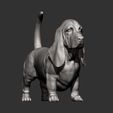 basset-hound9.jpg 3D-Datei Basset Hound 3D-Druckmodell・3D-druckbares Modell zum Herunterladen