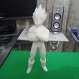 IMG_20191231_174627_3.jpg Vegeta Dragon Ball Z