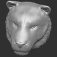 14.jpg Tiger head for 3D printing