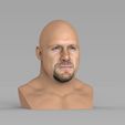 untitled.192.jpg Stone Cold Steve Austin bust ready for full color 3D printing