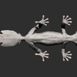 fantastic-leaf-tailed-gecko8.jpg Fantastic leaf-tailed gecko 3D print model