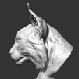 07.png Lynx head AM18 3D print model