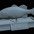 Bass-statue-36.png fish Largemouth Bass / Micropterus salmoides statue detailed texture for 3d printing