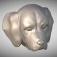 Zrzut-ekranu-2025-06-13-220105.png 用于 3D 打印的比格犬头部小狗