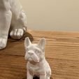 IMG_9755.jpg French Bulldog Statue 3D Print Model - Detailed Canine Figurine STL File for 3D Printing