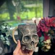 IMG_4279.jpeg Skull cup