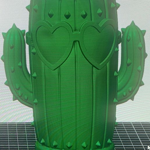 Cactus hippy porta vaso