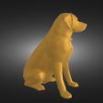 Без-названия-render-1.png DOG
