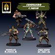 Cs-Team-1.jpg Commando: Command Squad
