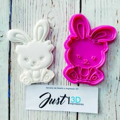WhatsApp-Image-2021-03-10-at-10.12.11-AM-(4).jpeg Download STL file EASTER BUNNY2 • 3D printable object, FloR