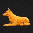 1650-Belgian_Shepherd_Dog_Laekenois_Pose_09.jpg Belgian Shepherd Dog Laekenois Dog 3D Print Model Pose 09