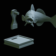 zander-trophy-51.png zander / pikeperch / Sander lucioperca fish in motion trophy statue detailed texture for 3d printing